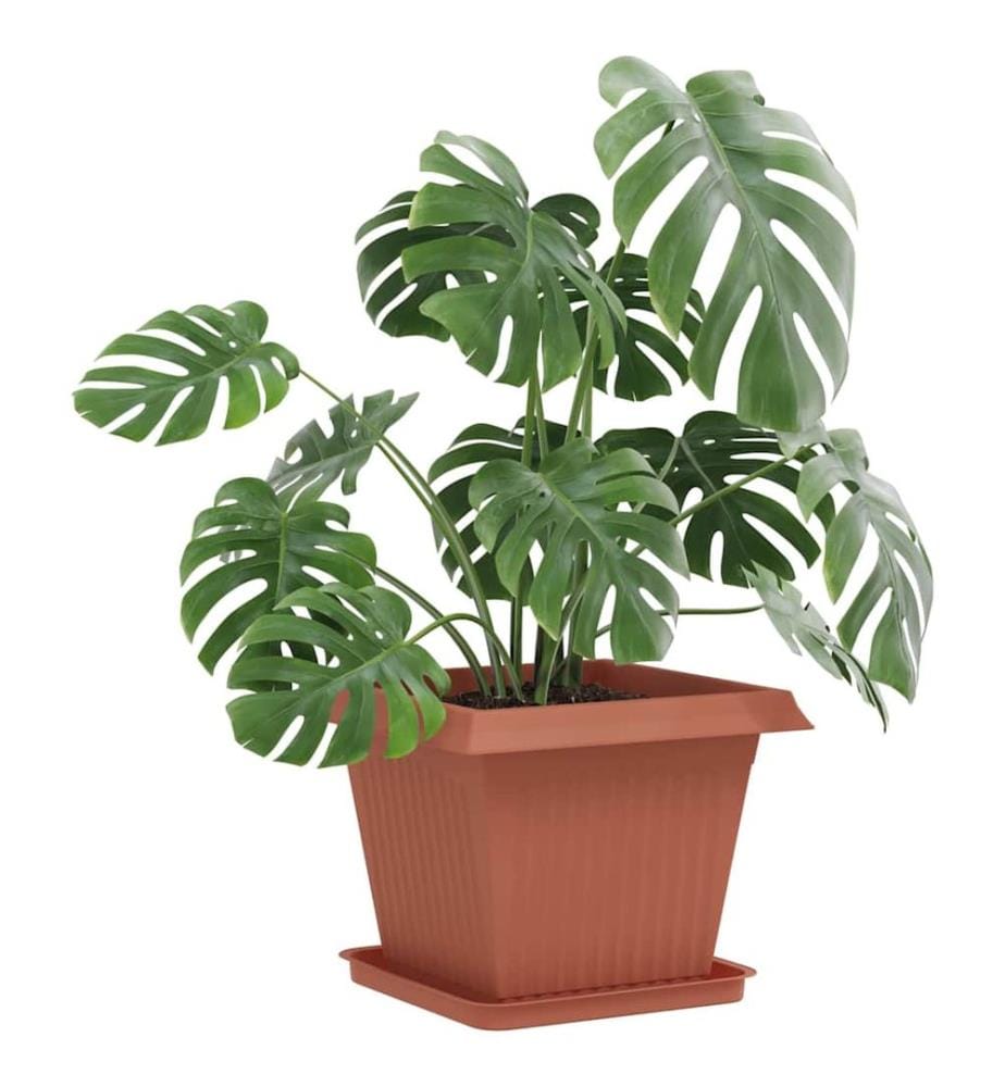 Pots de plantes 6 pcs Rouge brique 43 x 43 x 33,5 cm Plastique