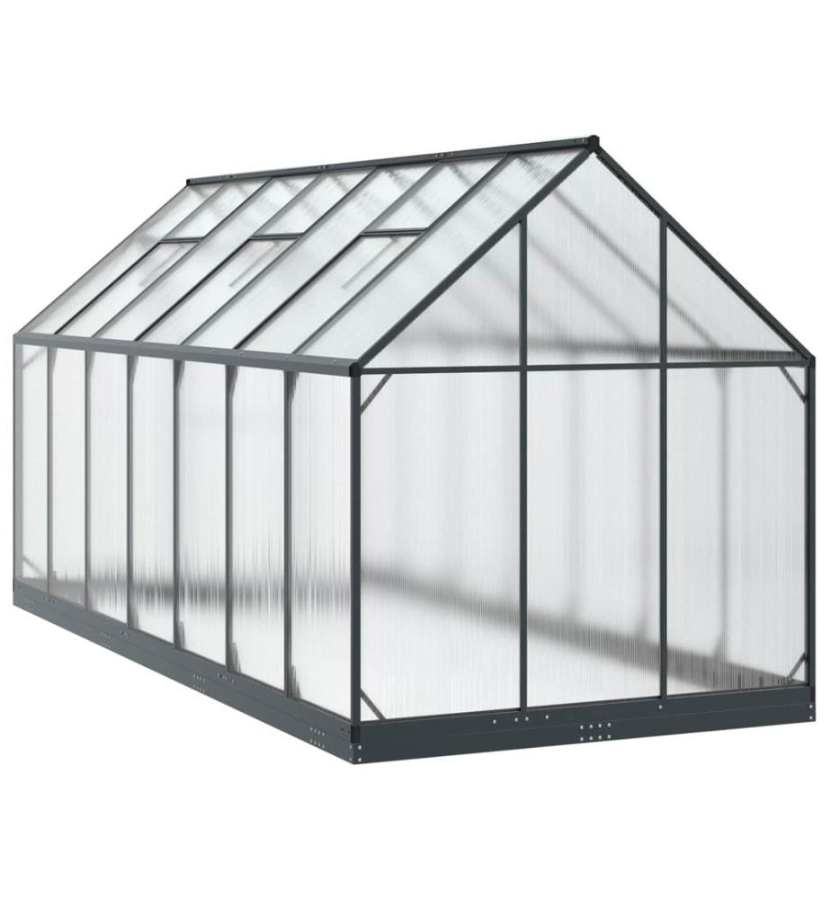 Serre de jardin avec porte Anthracite 183,5 x 423,5 x 207 cm