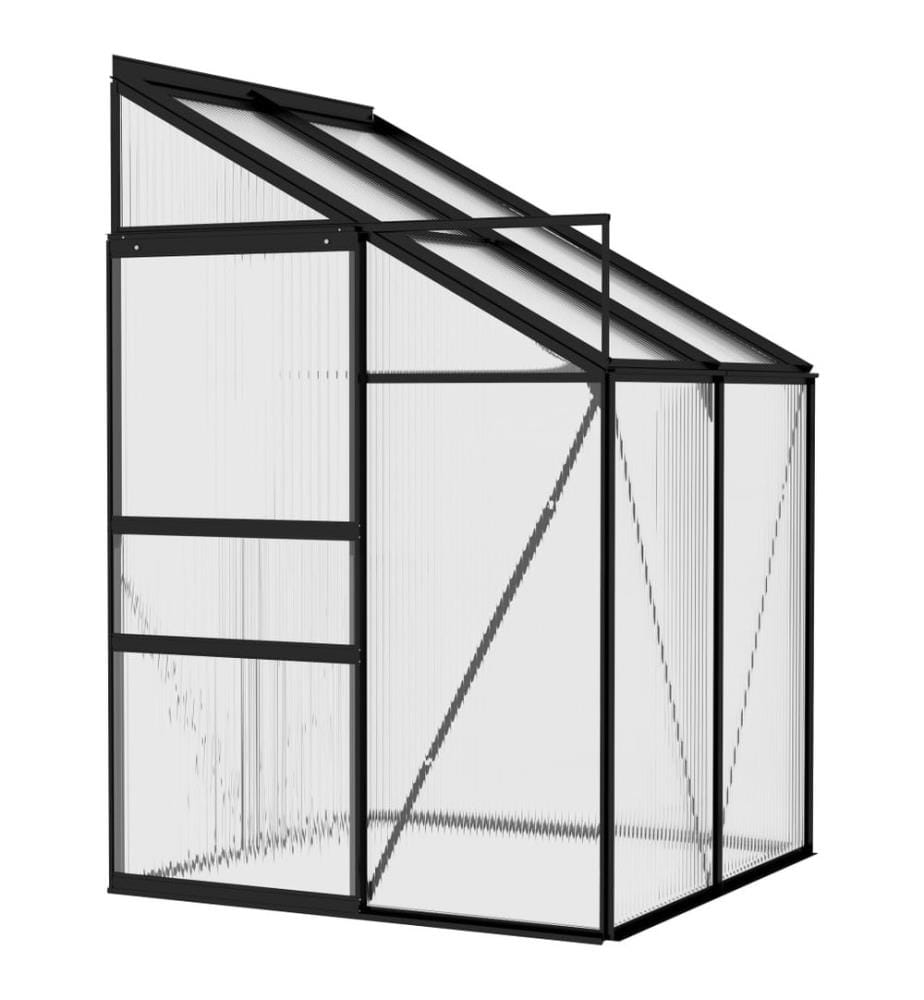 Serre Anthracite Aluminium 2,59 m³