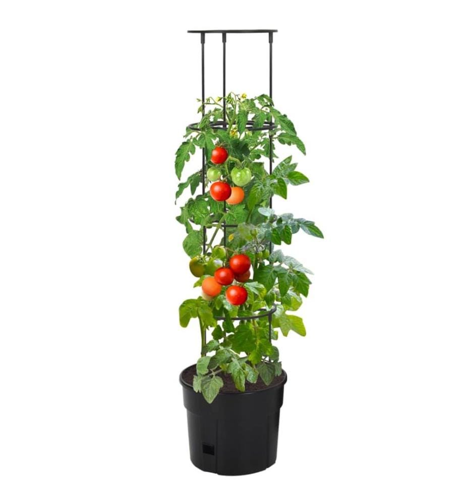Tomatentopf Anthrazit Ø29,5x115 cm Polypropylen