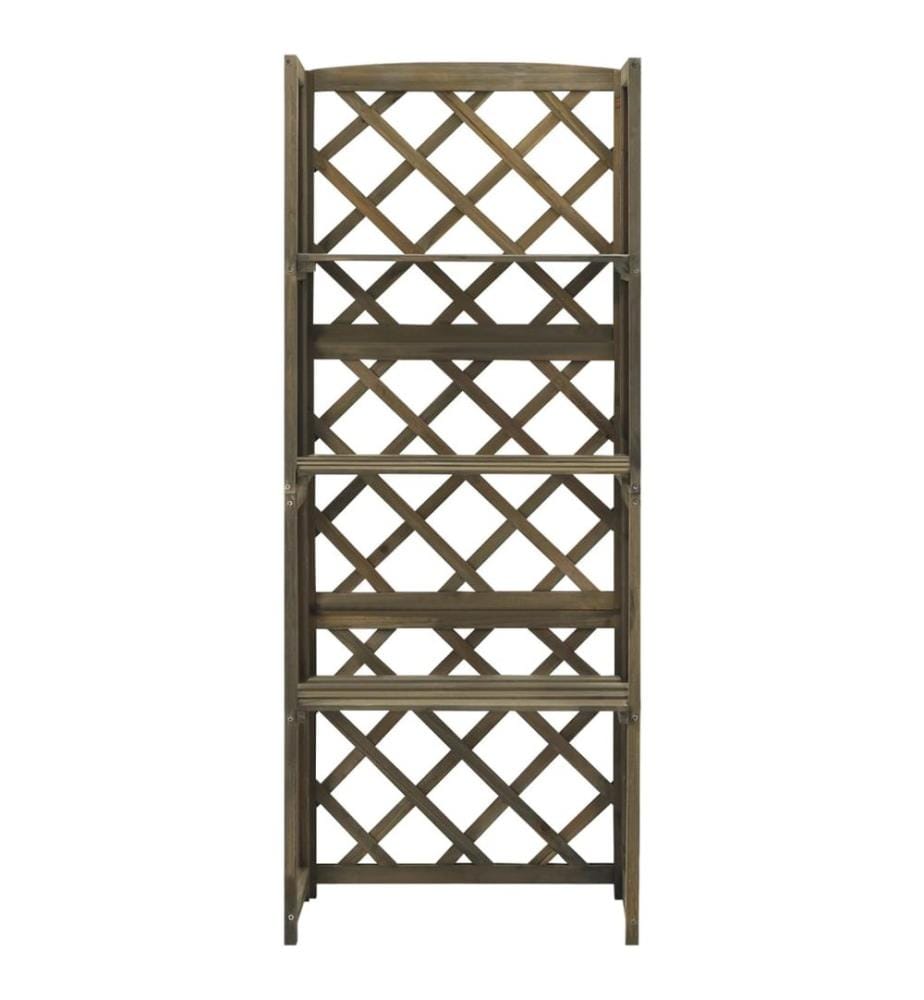 Spalier mit Ablagen Grau 55x30x140 cm Massivholz Tanne