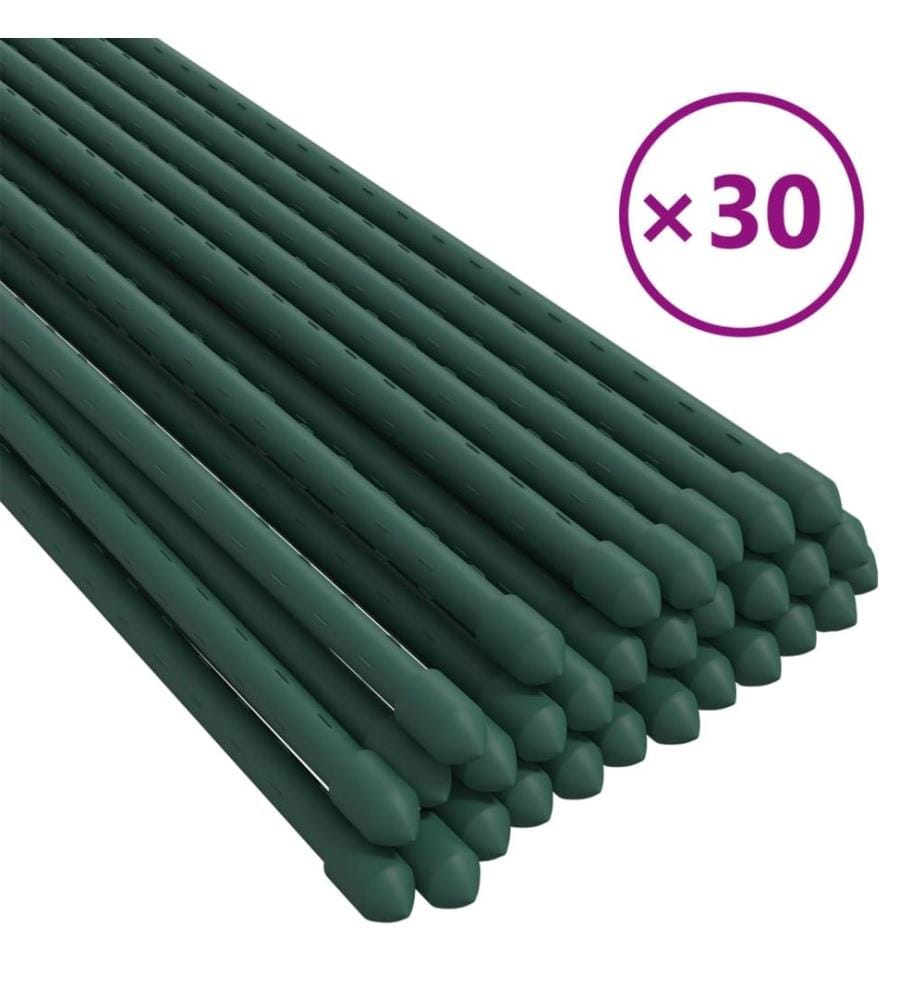 Pflanzenstützen 30 Stk. Grün 60 cm Stahl