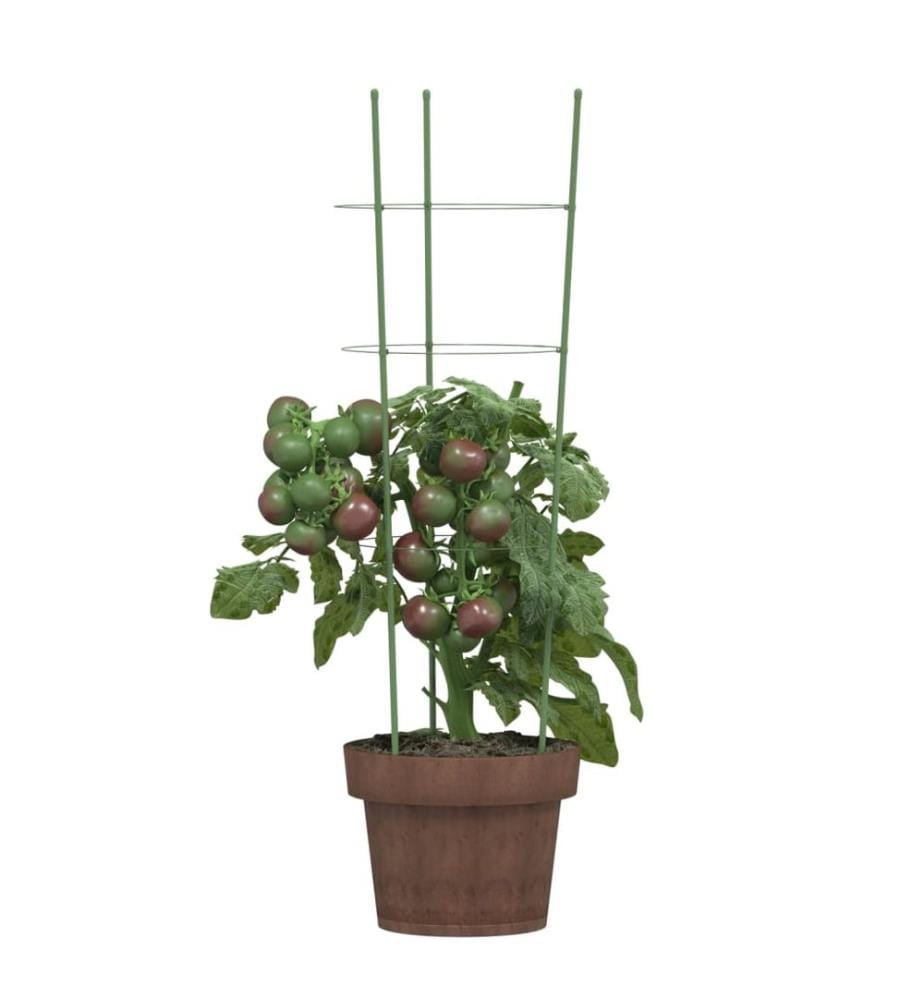 Pflanzenstützen mit 3 Ringen 5 Stk. Grün 60 cm Stahl
