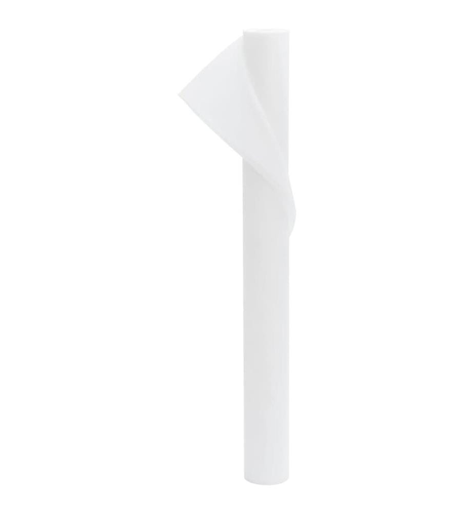 Wintervlies 70 g/m² 10x1,6 m