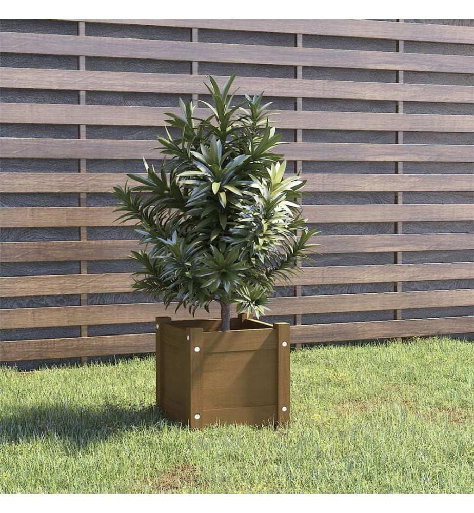 Jardinière extérieur Marron miel 31x31x31 cm Bois de pin massif