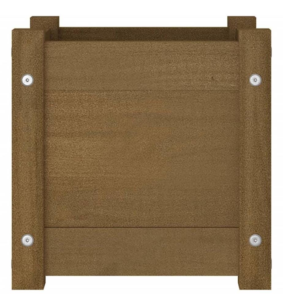 Jardinière extérieur Marron miel 31x31x31 cm Bois de pin massif