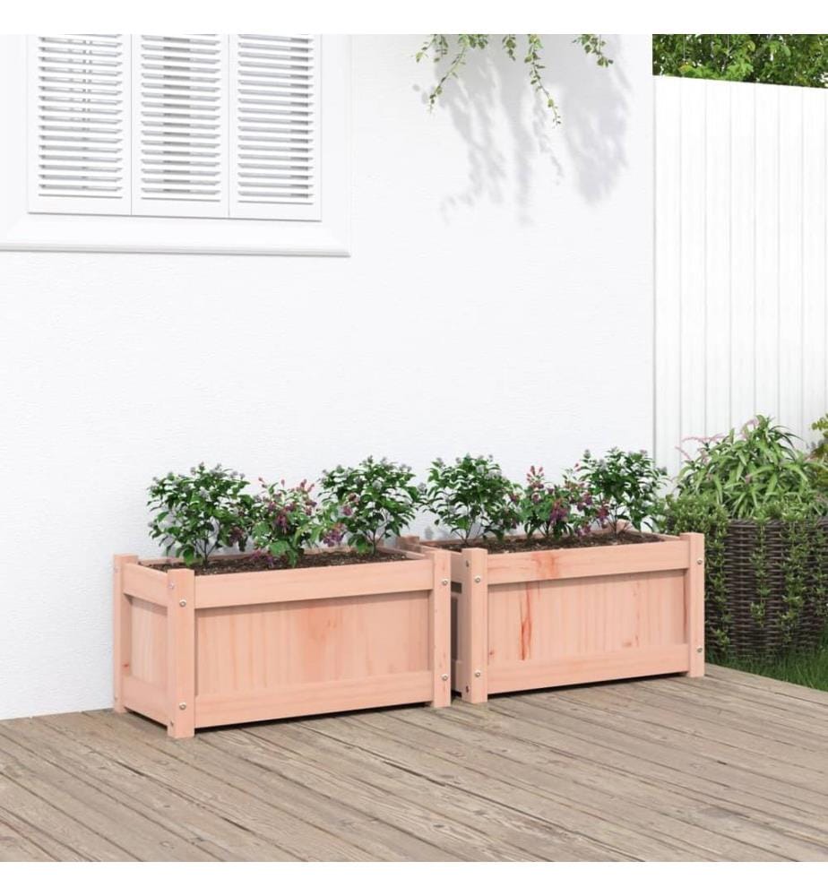 Jardinières 2 pcs bois massif douglas