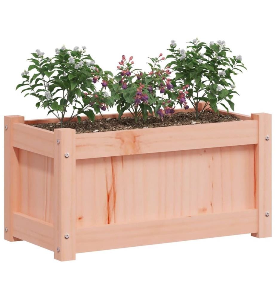 Jardinières 2 pcs bois massif douglas