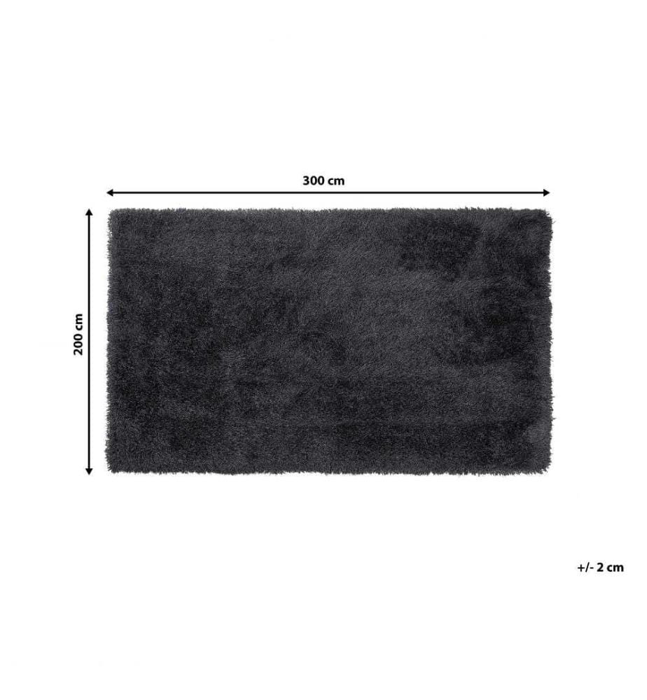 Tapis à poils longs CIDE Noir 200 x 300 cm