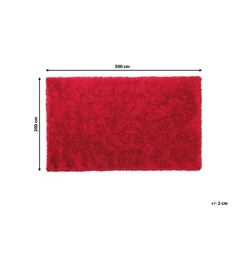 Tapis à poils longs CIDE Rouge 200 x 300 cm