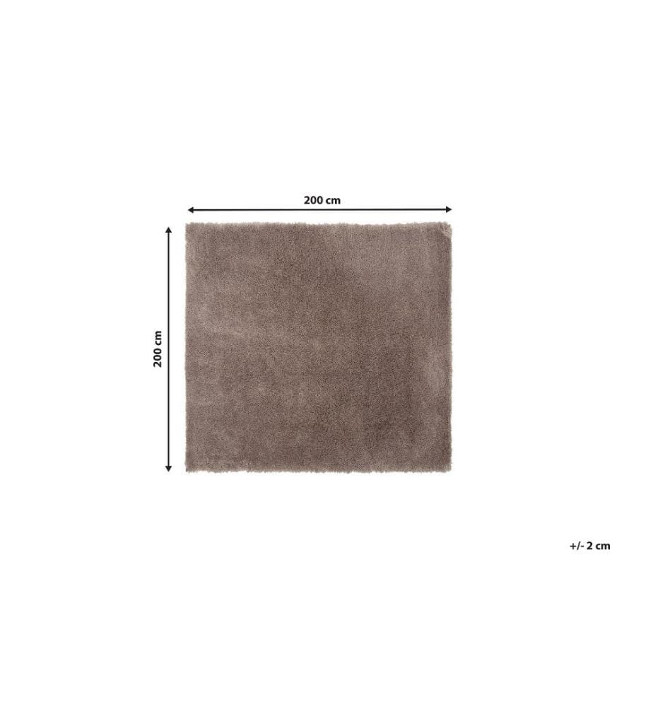 Tapis à poils longs EVREN Marron clair 200 x 200 cm