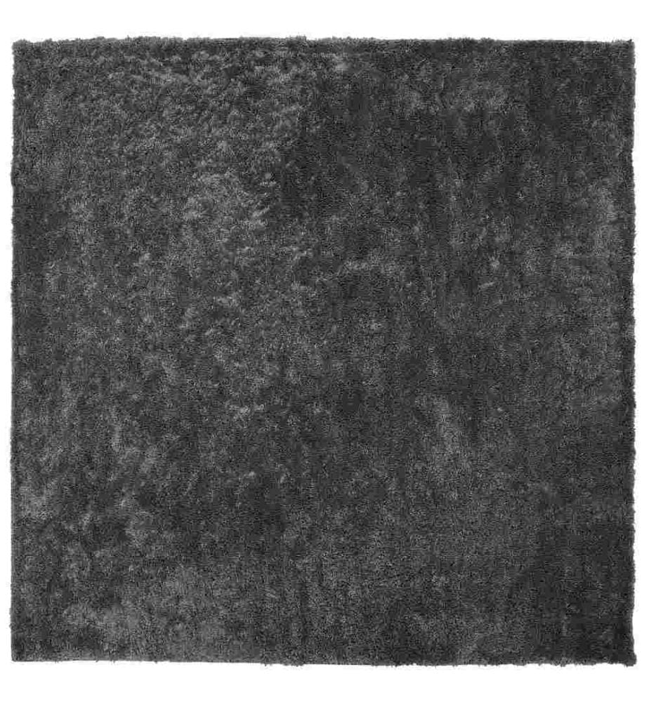 Tapis à poils longs EVREN Gris foncé 200 x 200 cm