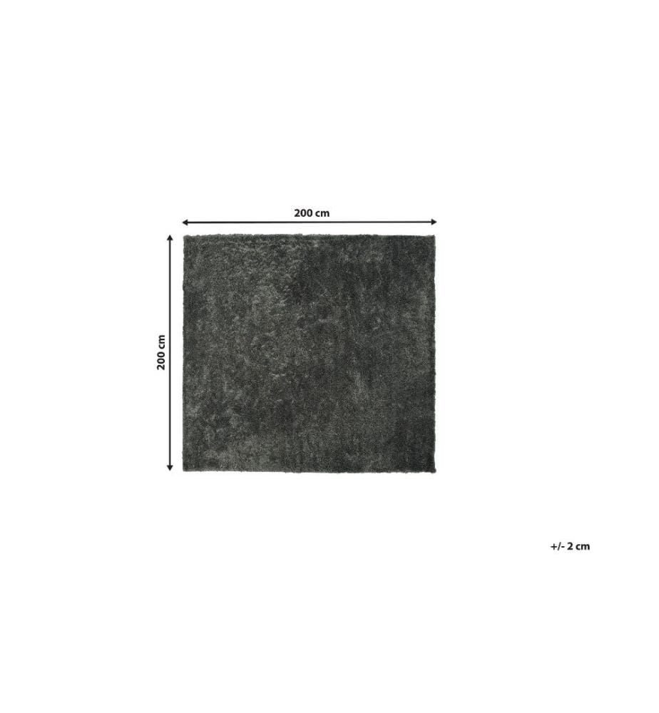 Tapis à poils longs EVREN Gris foncé 200 x 200 cm
