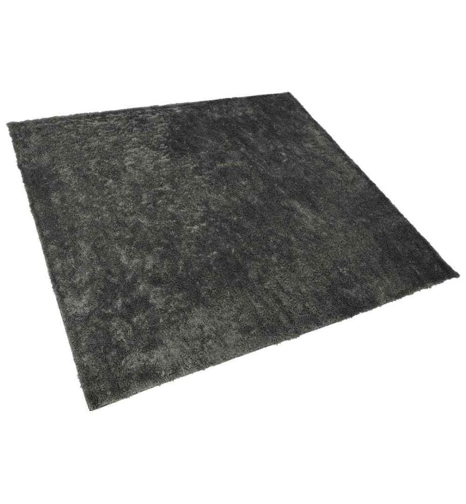 Tapis à poils longs EVREN Gris foncé 200 x 200 cm