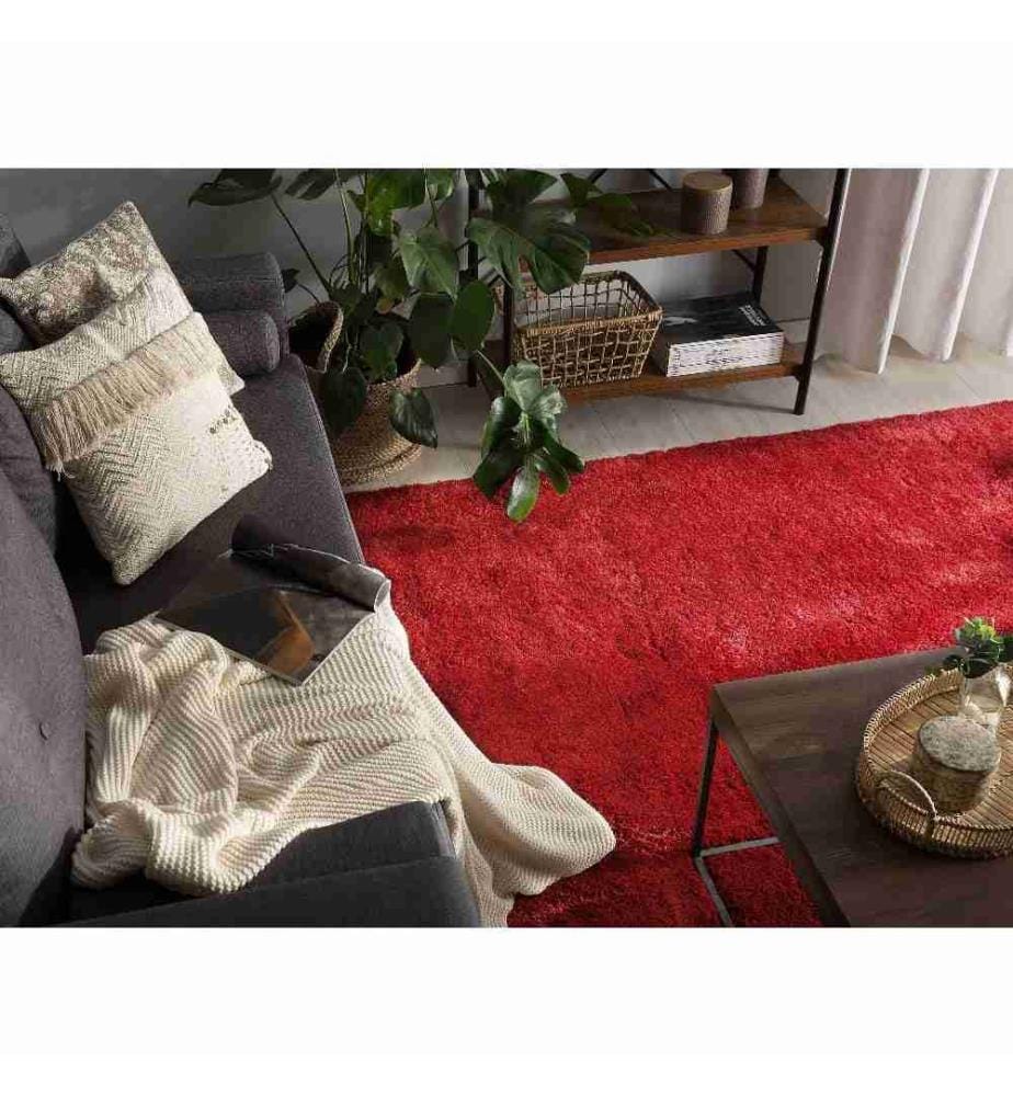 Tapis à poils longs EVREN Rouge 200 x 200 cm