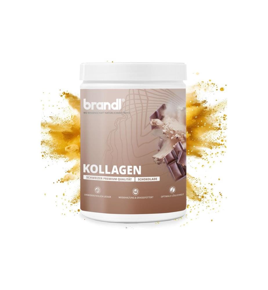 Brandl-Nutrition - Pulver Kollagen Schokolade 550 g