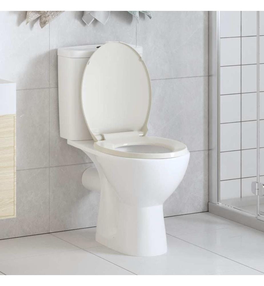 Toilettensitz mit Absenkautomatik Quick-Release Hellgrau Oval