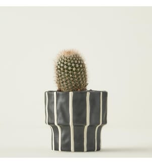Pot de fleurs Ruvia 10x10x9 cm - Noir