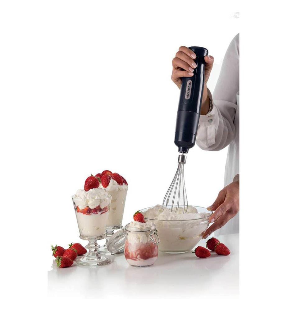 Stabmixer - Klinge Aus Edelstahl - 2 Geschwindigkeiten, 700W