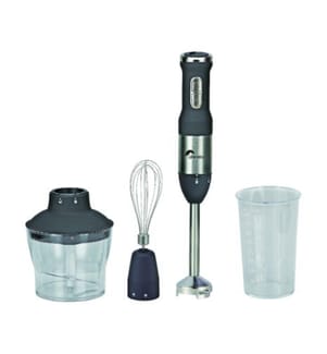 Stabmixer-Set - Schwarz und Silber