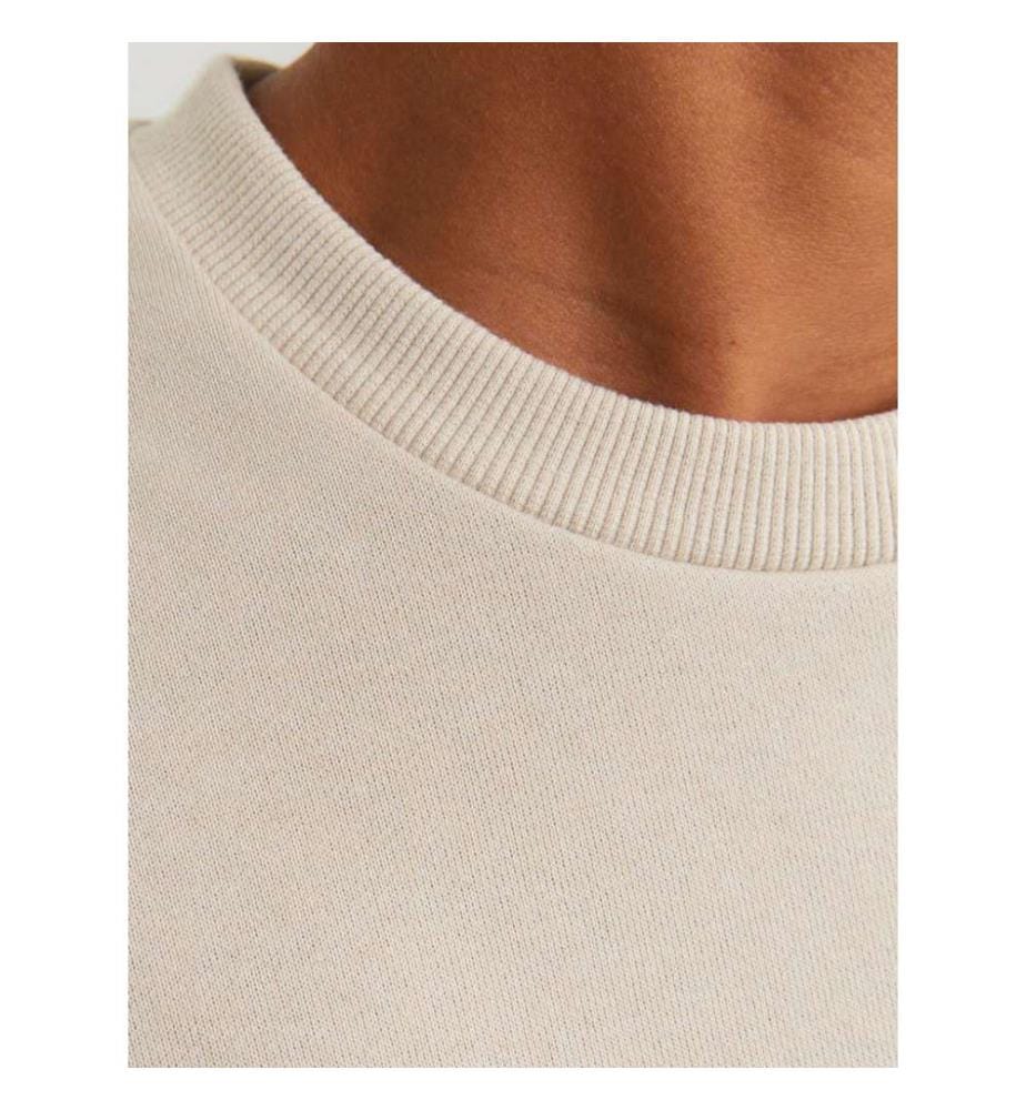 Sweatshirt - Moonbeam