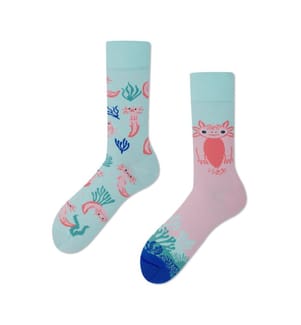 Socks A lot of Axolotls