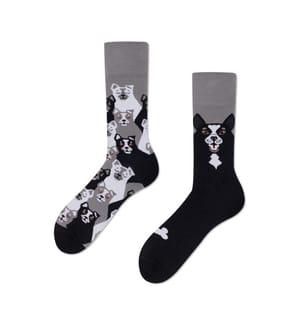 Socks Black Dog