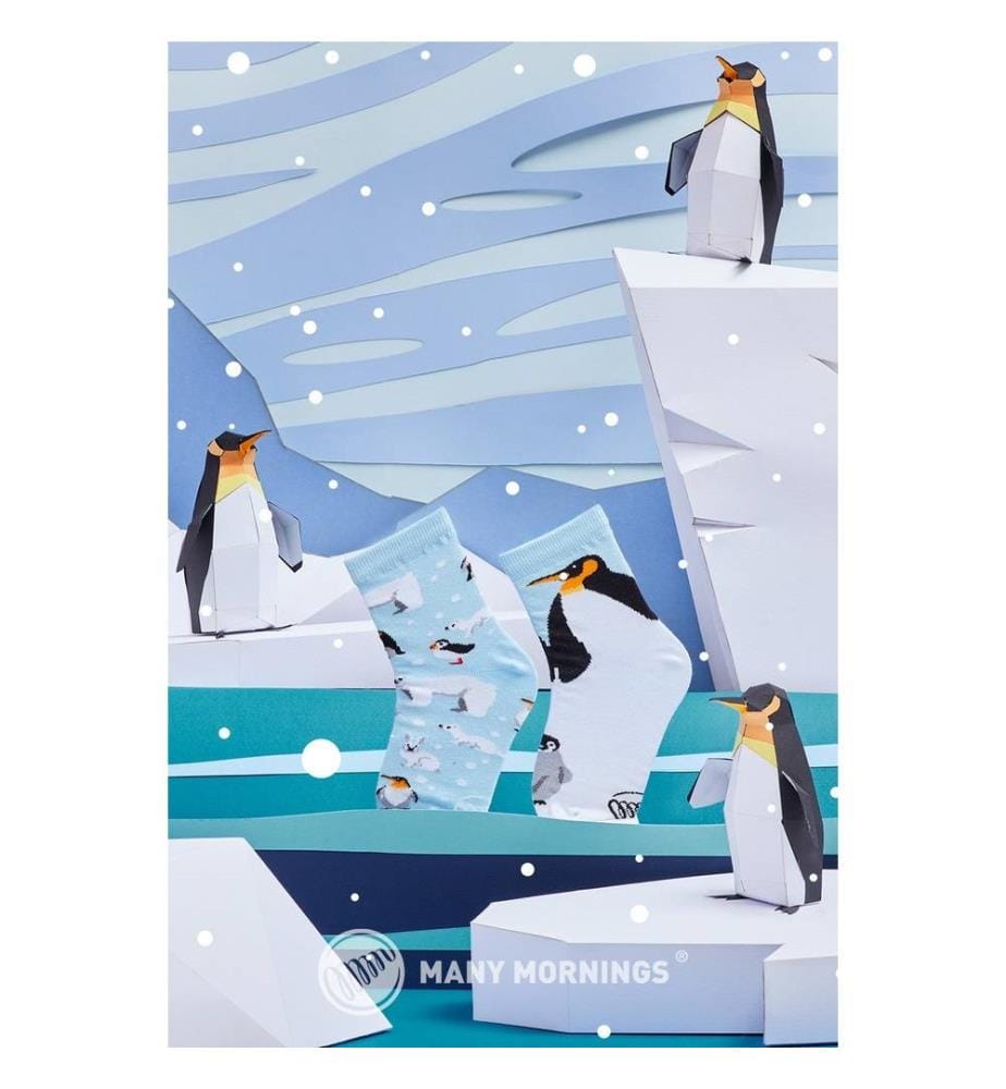 Chaussettes Frosty Friends Kids 