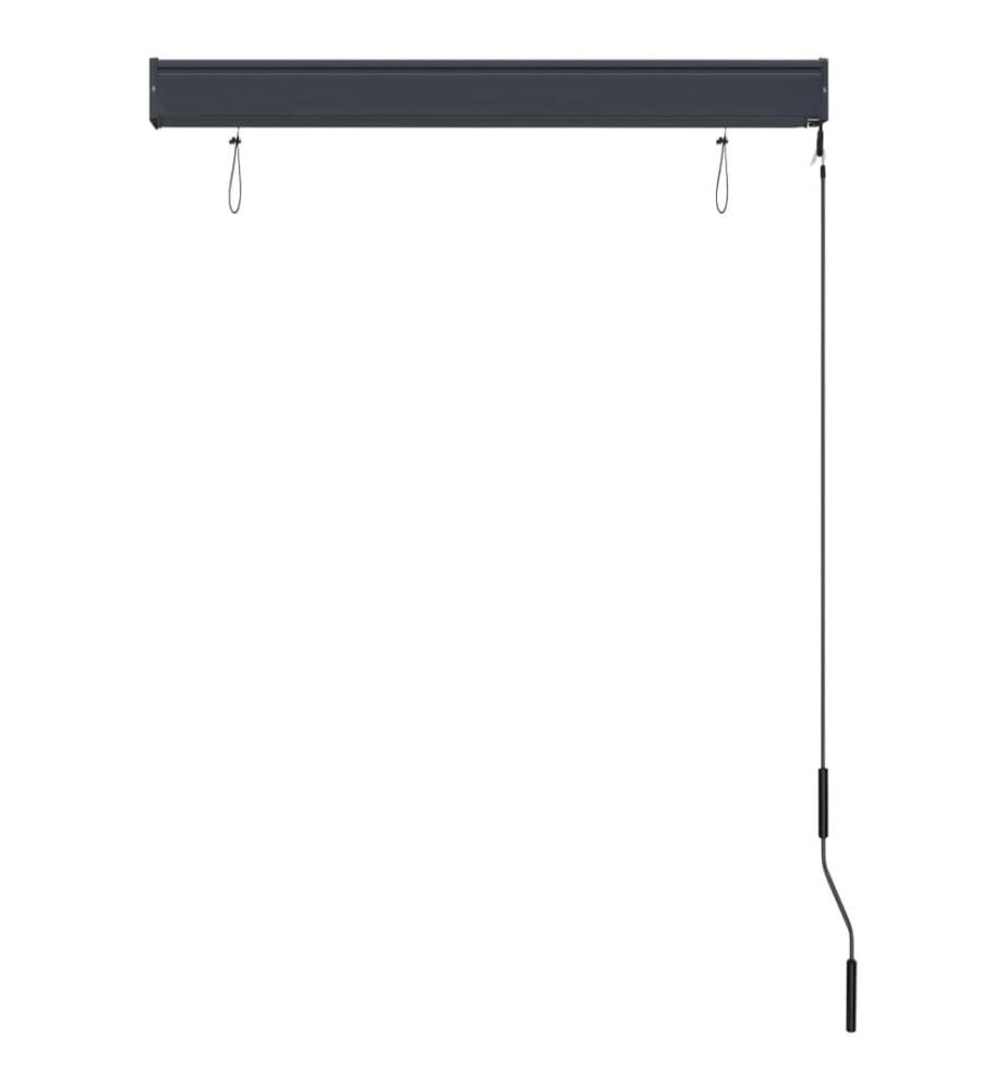 Aussenrollo 100 x 250 cm Blau und Weiss