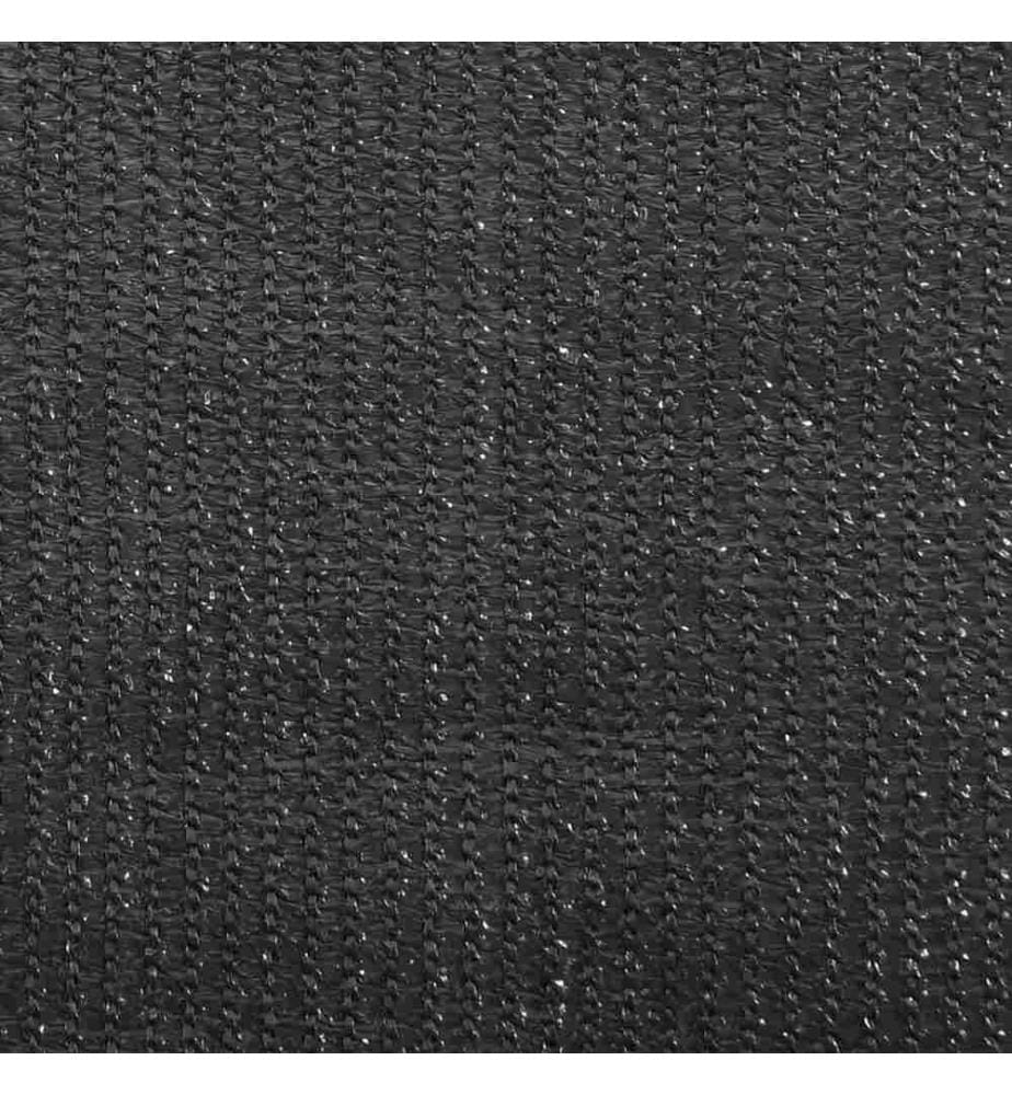 Aussenrollo 60x140 cm Anthrazit