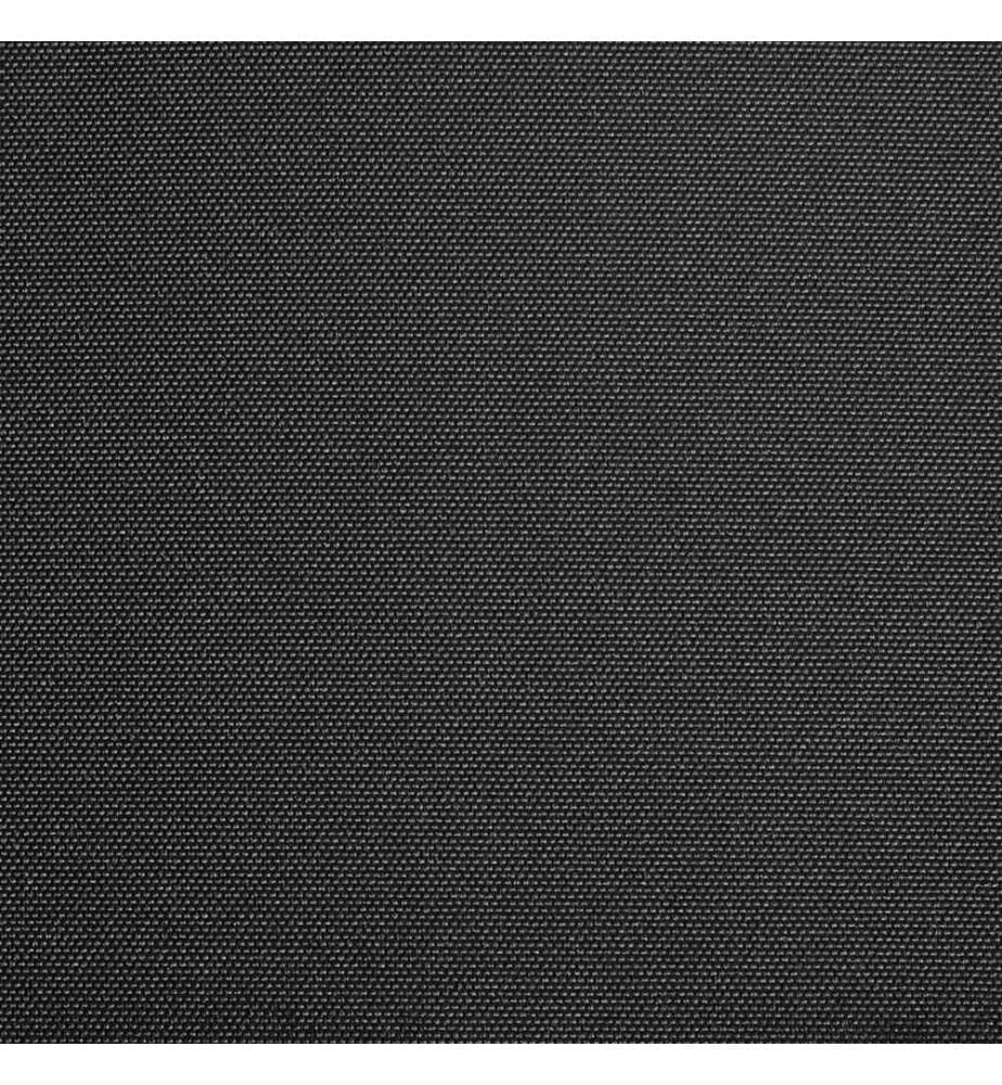 Toile d'auvent Anthracite 450x300 cm