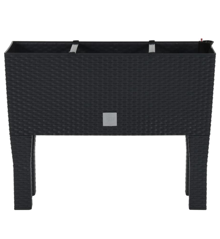 Hochbeet Anthrazit 60x25x46 cm PP-Rattan