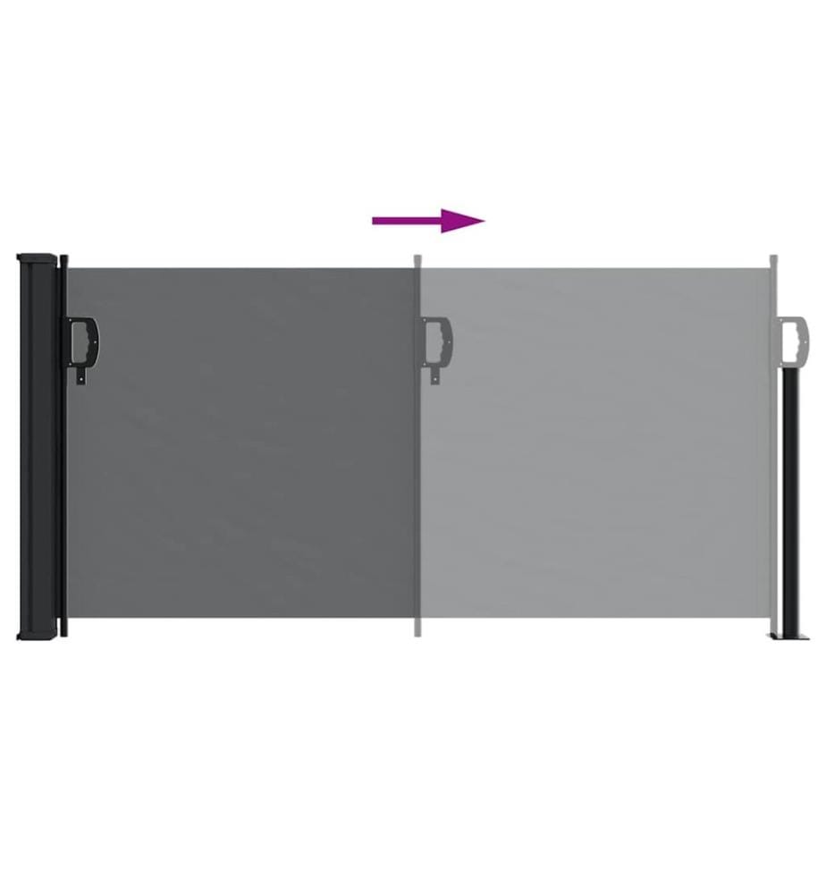 Seitenmarkise Ausziehbar Schwarz 100x500 cm