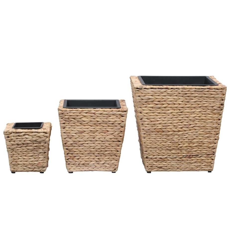 Lits surélevés 3 pcs Jacinthe d'eau