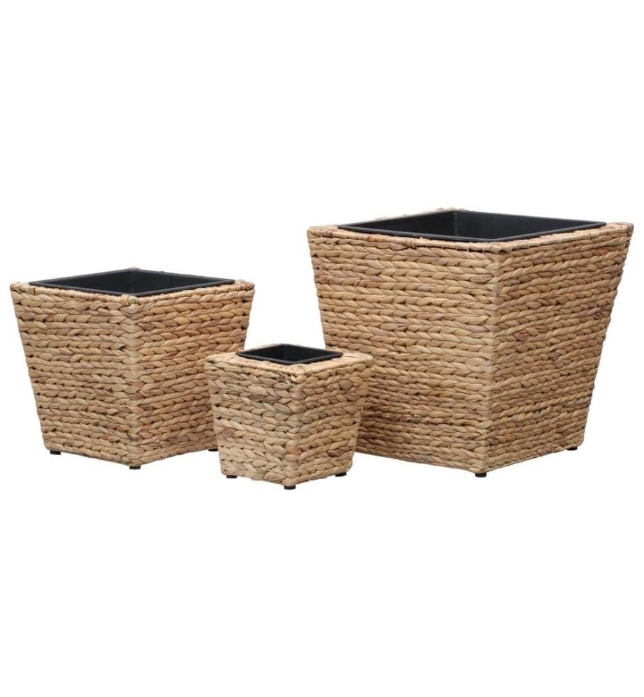 Lits surélevés 3 pcs Jacinthe d'eau