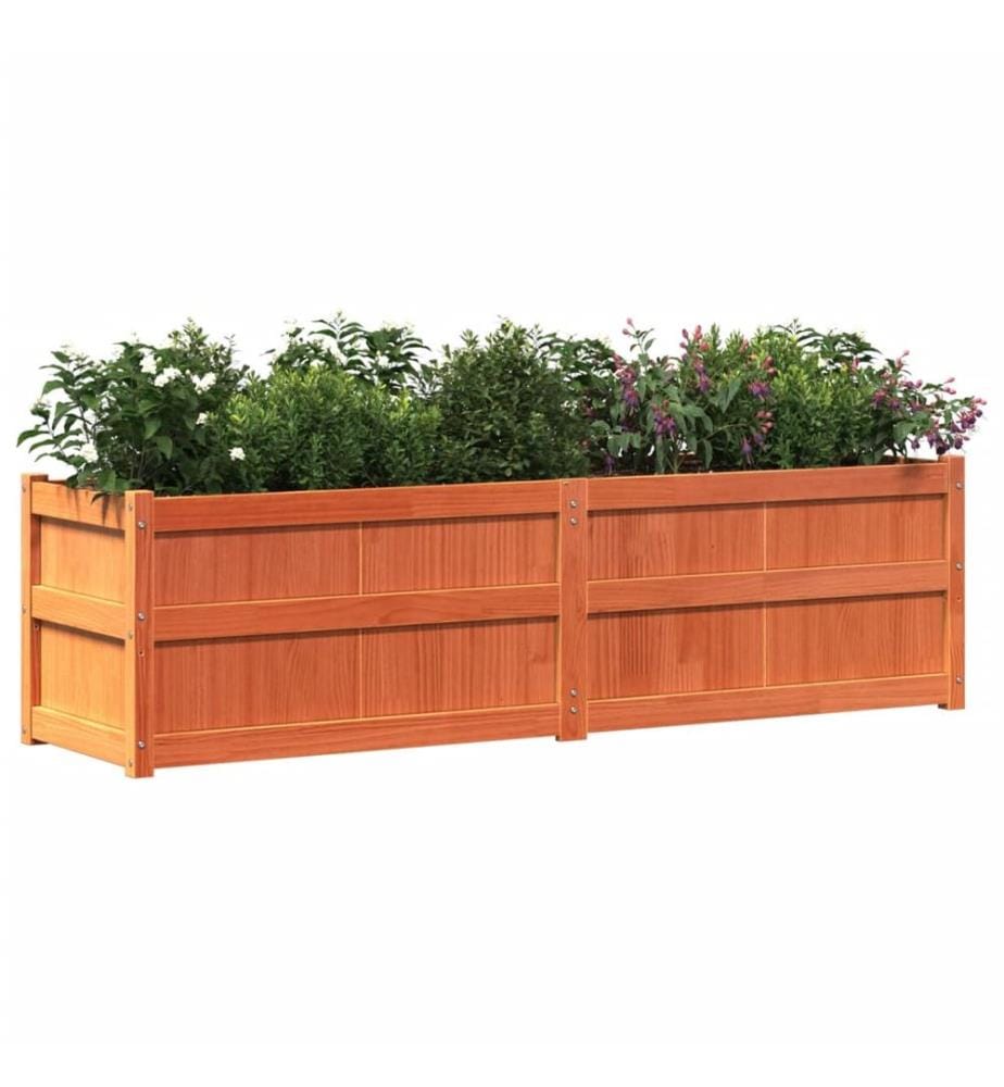 Jardinière cire marron 180x50x50 cm bois de pin massif
