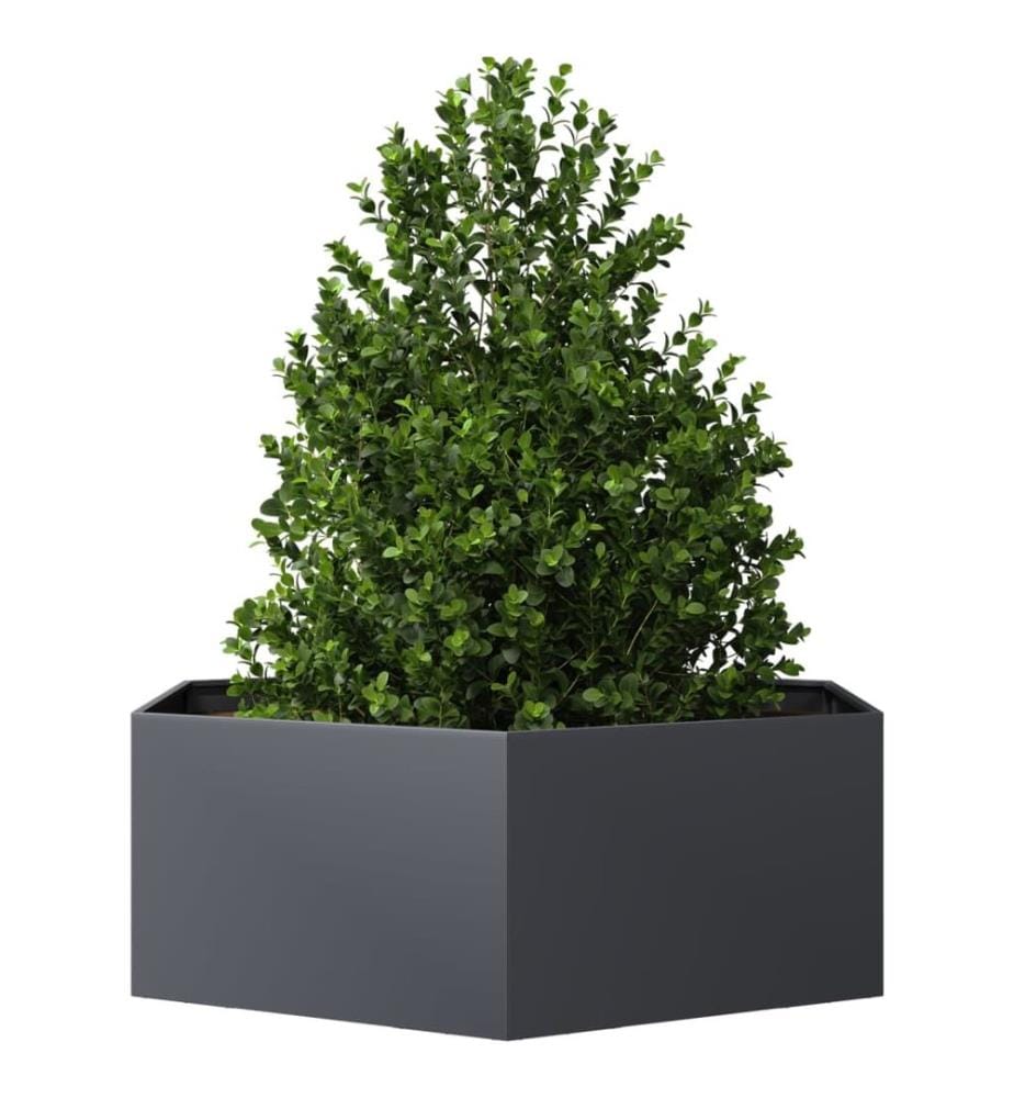 Jardinière anthracite hexagone 138x120x45 cm acier