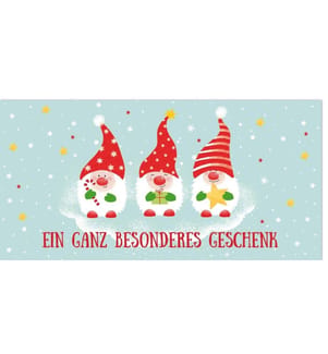 Braun + Company Geldgeschenk-Karte Ein ganz besonderes Geschenk 21 x 10.5 cm