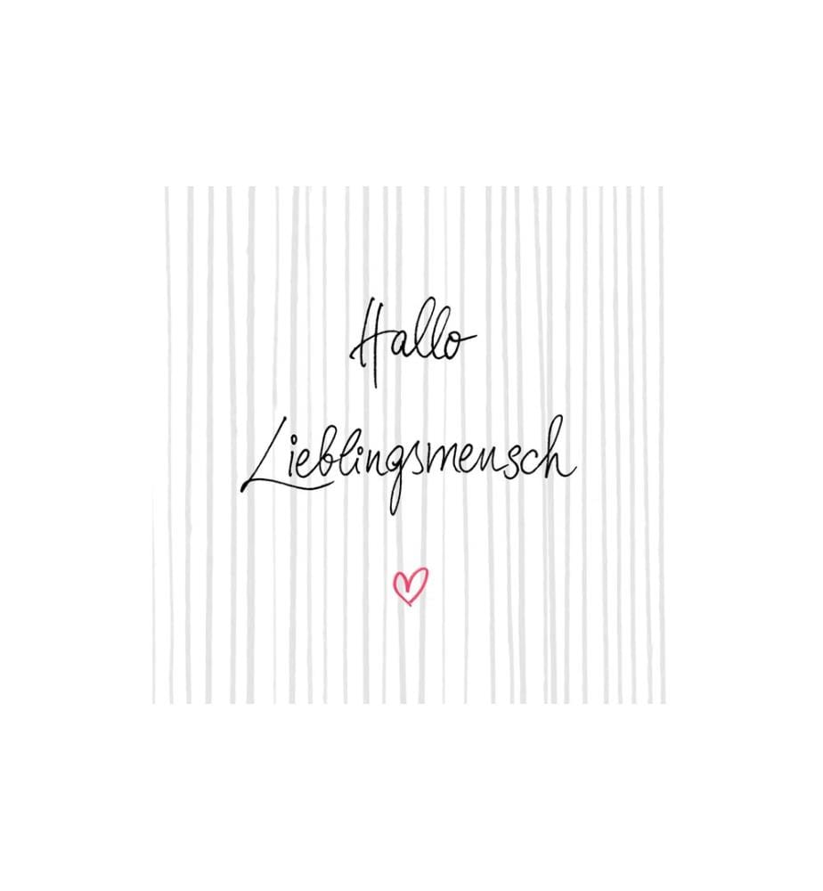 Braun + Company Papierservietten Hallo, 33 cm x 33 cm, 20 Stück