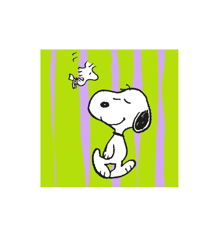 Braun + Company Snoopy vert 20 Pièce/s