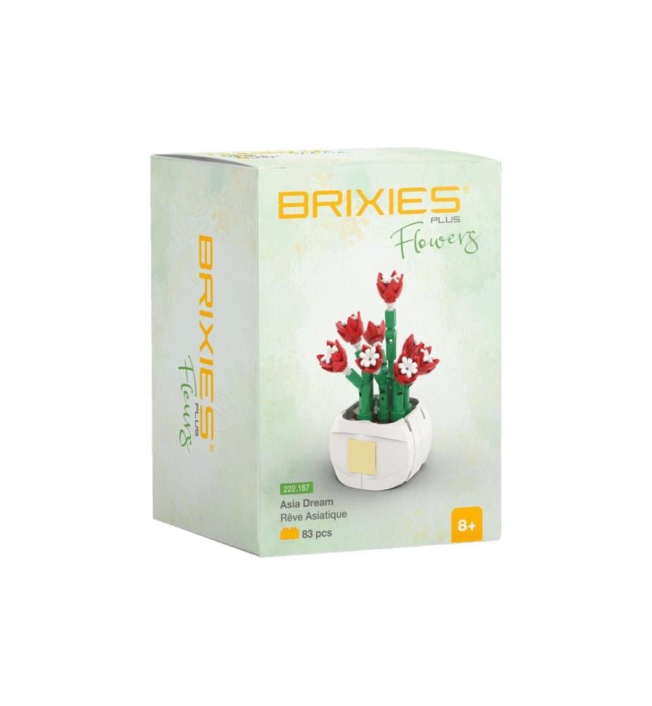 Brixies Plus Asia Dream