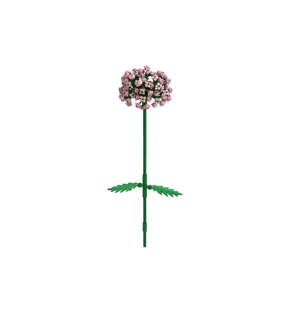 Brixies Plus Allium