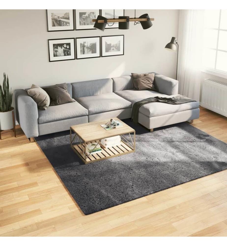 Teppich HUARTE Kurzflor Weich und Waschbar Anthrazit 240x240 cm