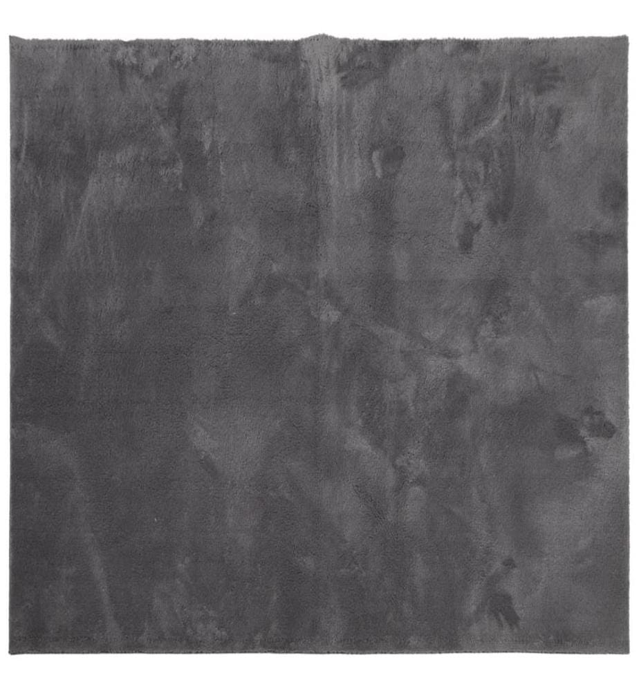 Teppich HUARTE Kurzflor Weich und Waschbar Anthrazit 240x240 cm