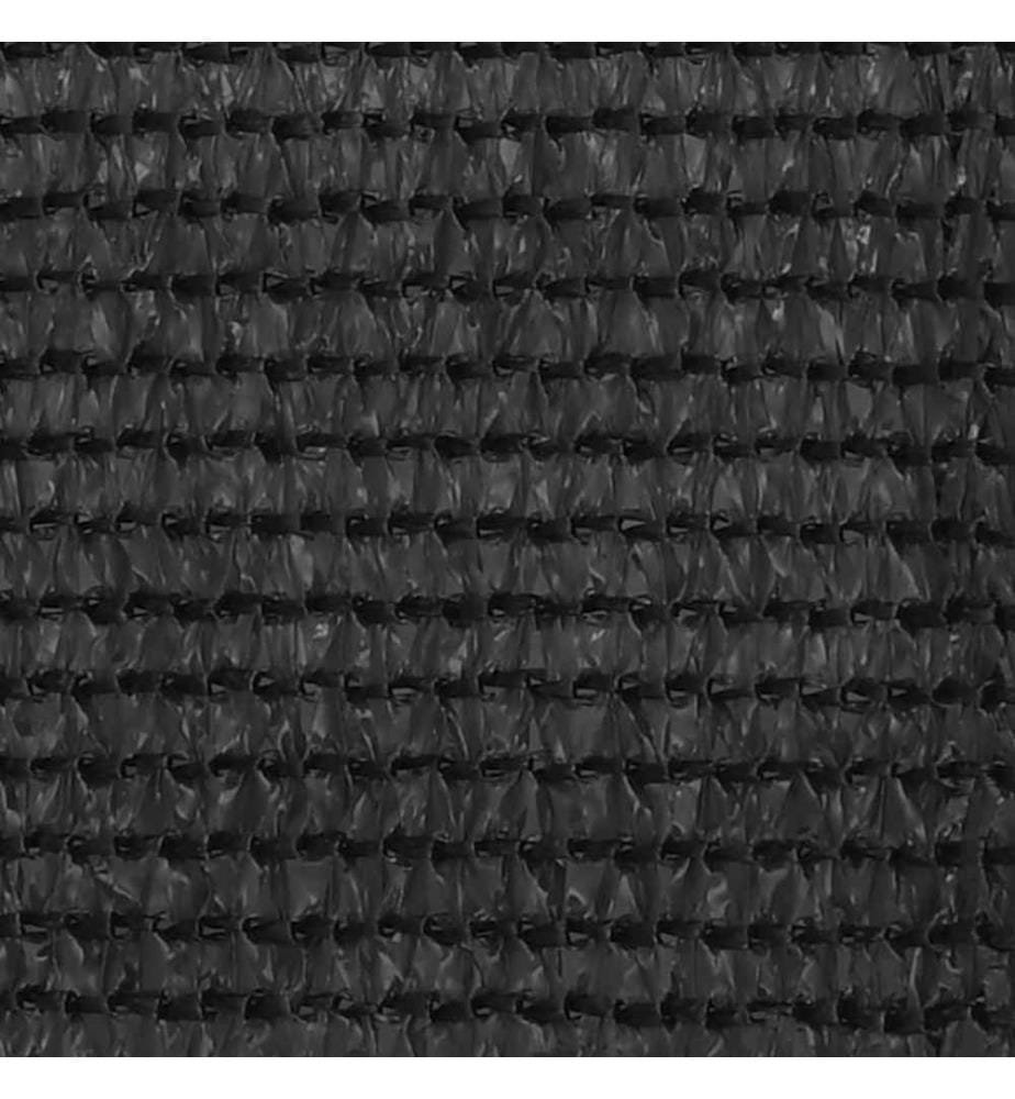 Balkon-Sichtschutz Anthrazit 120x300 cm HDPE