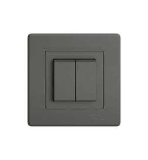 FELLER - Smart Light Control  EDIZIO.liv für Philips Hue, Dark Grey