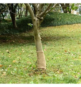 Jutegewebe 0,25x10 m 100% Jute 200 g/m²