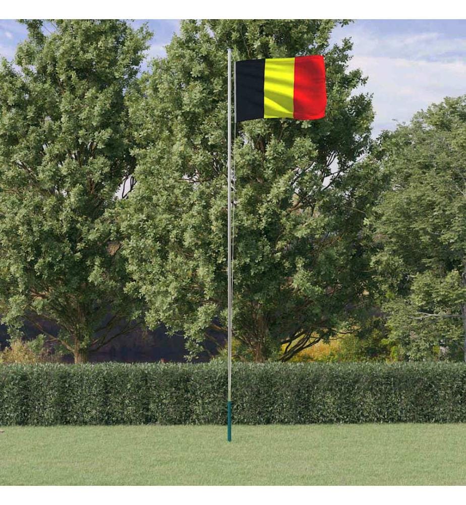 Belgische Flagge mit Mast 6,08 m Aluminium