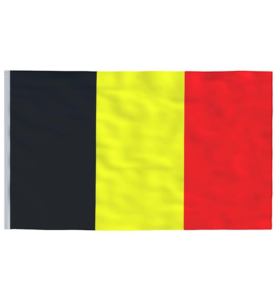 Belgische Flagge mit Mast 6,08 m Aluminium
