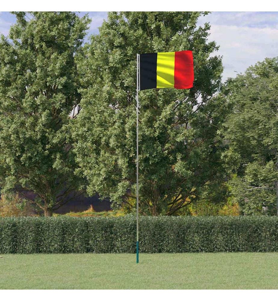 Drapeau de la Belgique et mât 5,5 m Aluminium
